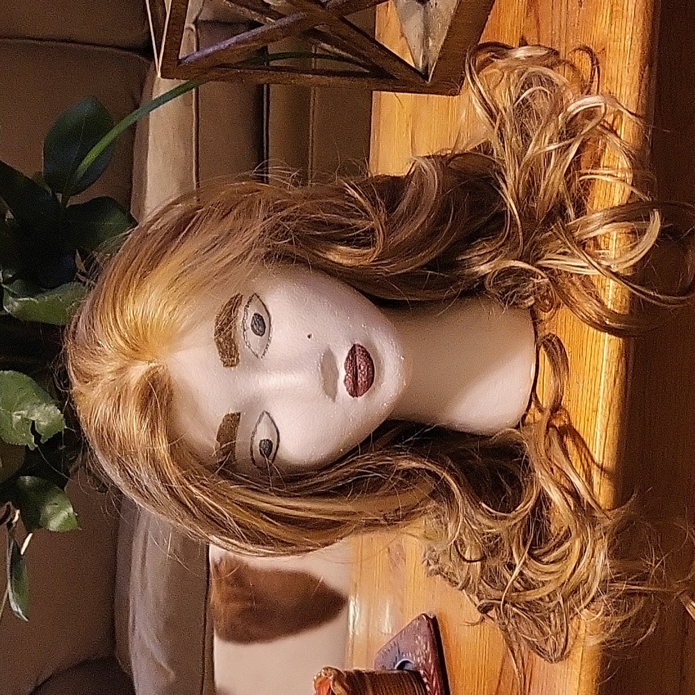 NWT LACE FRONT WIG